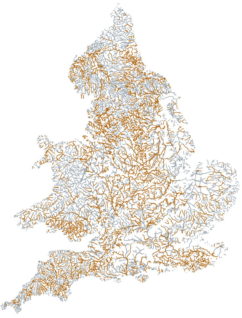 An image showing the river network in England and Wales, highlighting those polluted with sewage