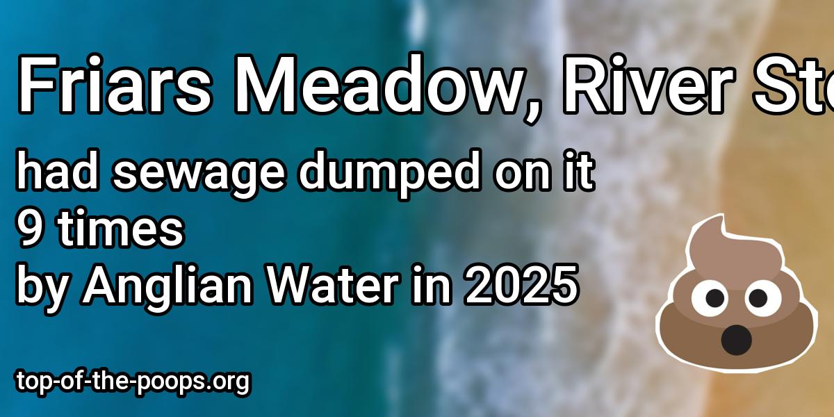 Sewage pollution at Friars Meadow, River Stour