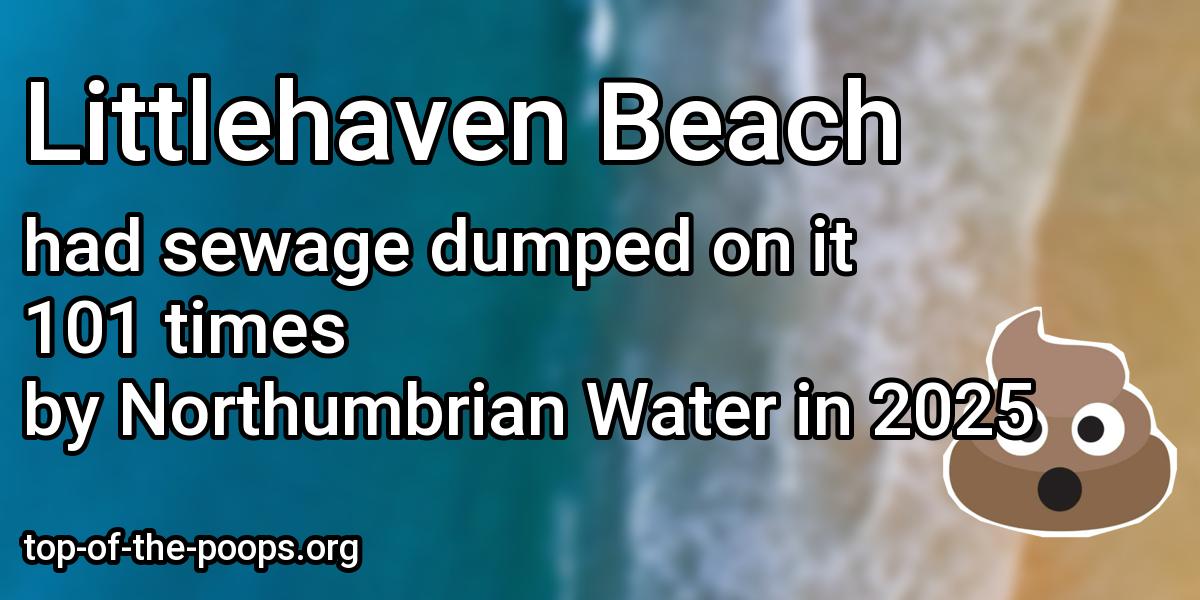 Sewage pollution at Littlehaven Beach