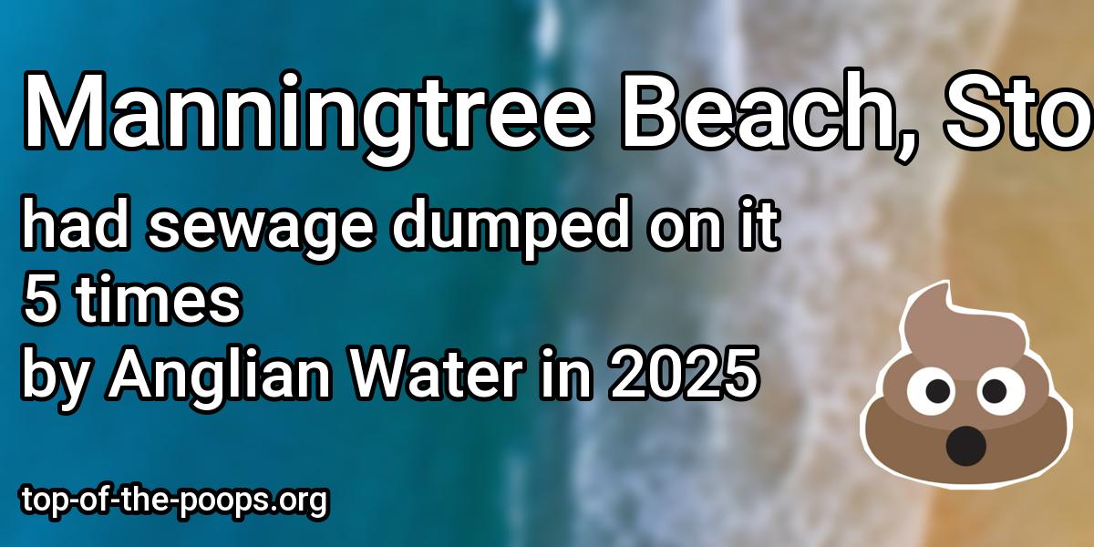 Sewage pollution at Manningtree Beach, Stour Estuary