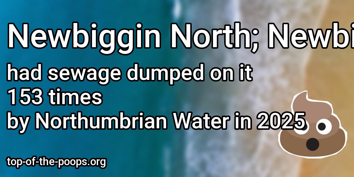 Sewage pollution at Newbiggin North; Newbiggin South