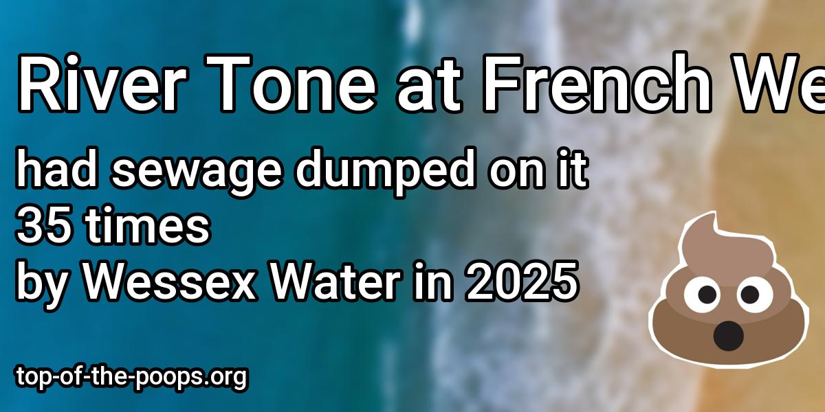 Sewage pollution at River Tone at French Weir Park