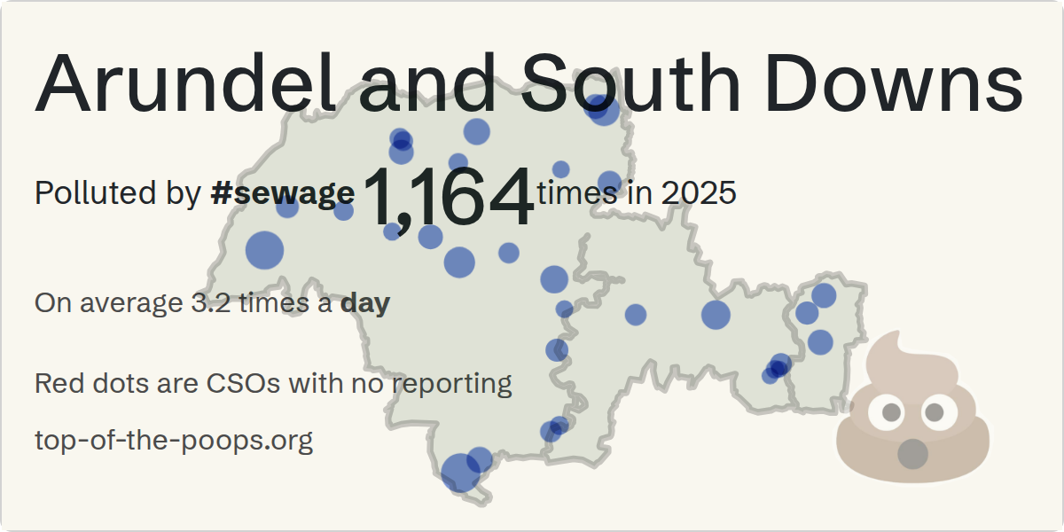 Sewage pollution map of Arundel and South Downs, the constituency containing the COLDWALTHAM CSO - 116054 storm overflow