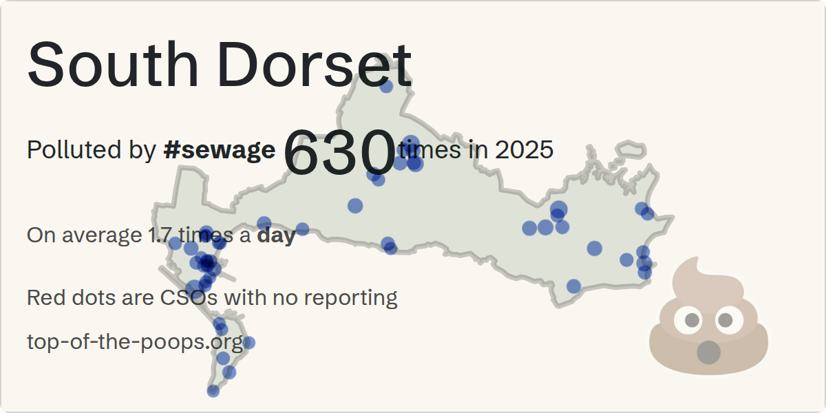 Sewage pollution map of South Dorset, the constituency containing the WOOL STATION ROAD IN GRASS VERGE storm overflow