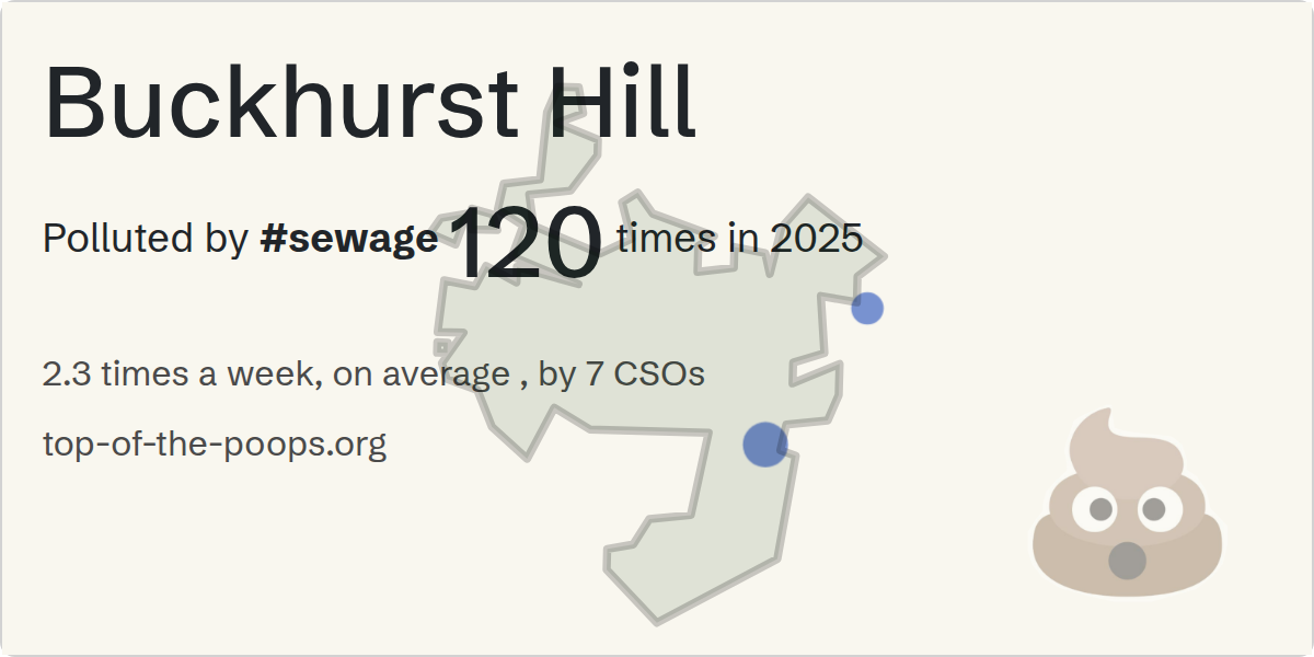 Sewage pollution map of Buckhurst Hill