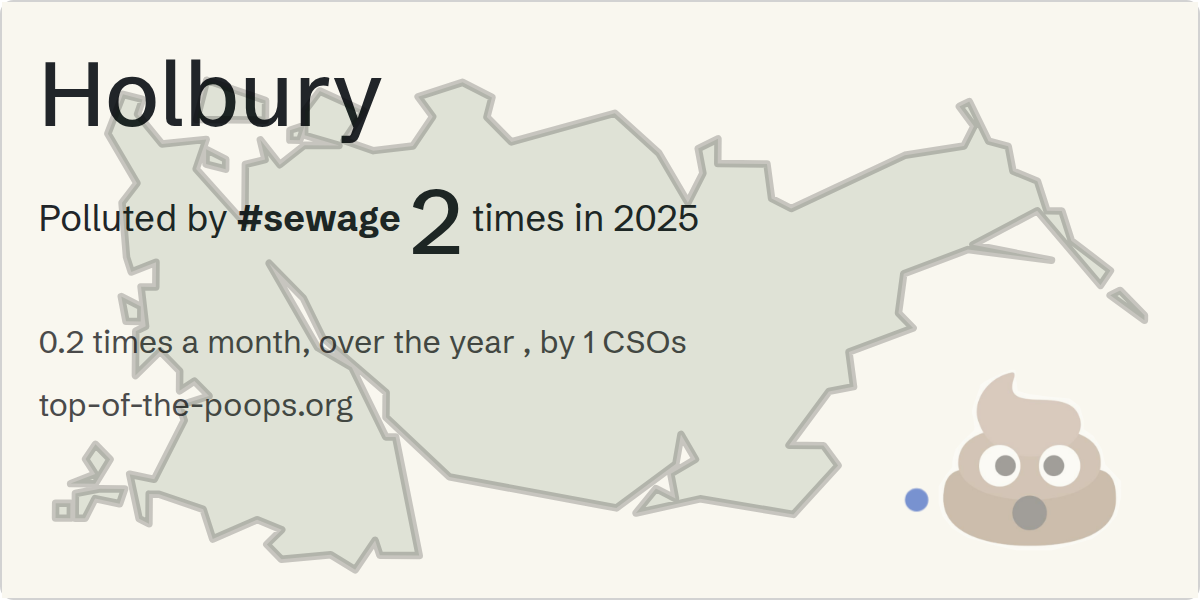 Sewage pollution map of Holbury