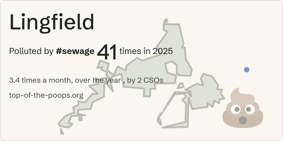 Sewage pollution map of Lingfield