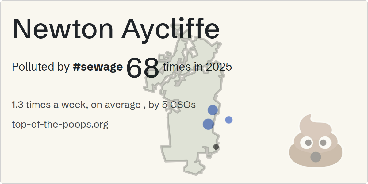 Sewage pollution map of Newton Aycliffe
