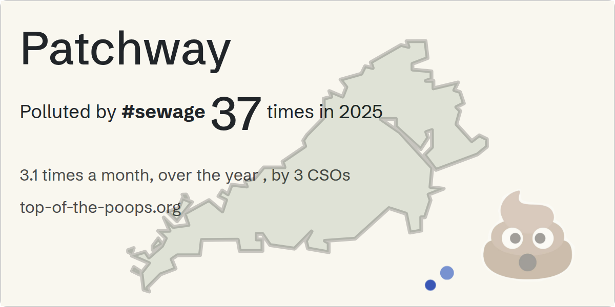 Sewage pollution map of Patchway