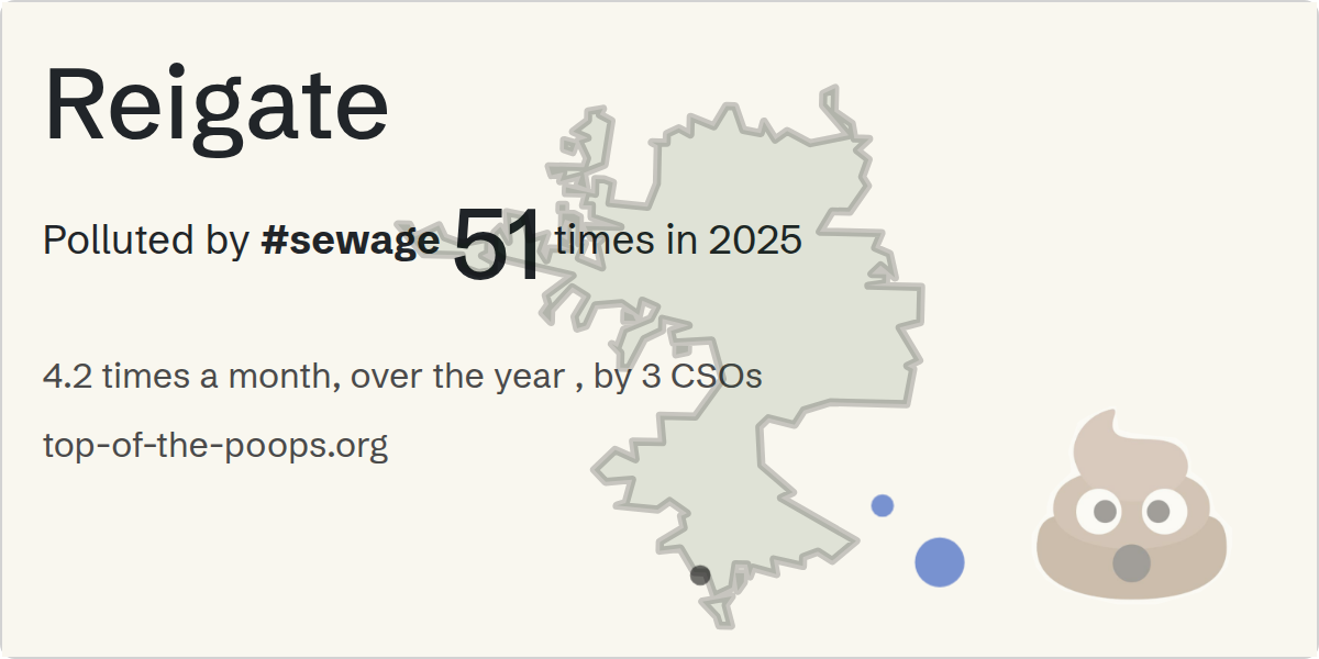 Sewage pollution map of Reigate
