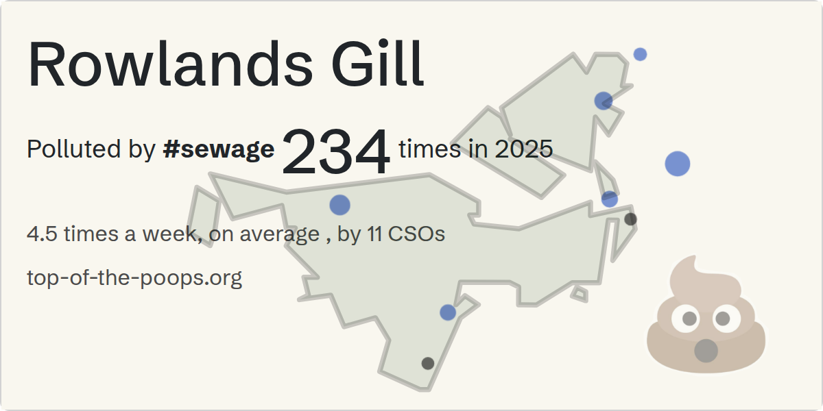 Sewage pollution map of Rowlands Gill