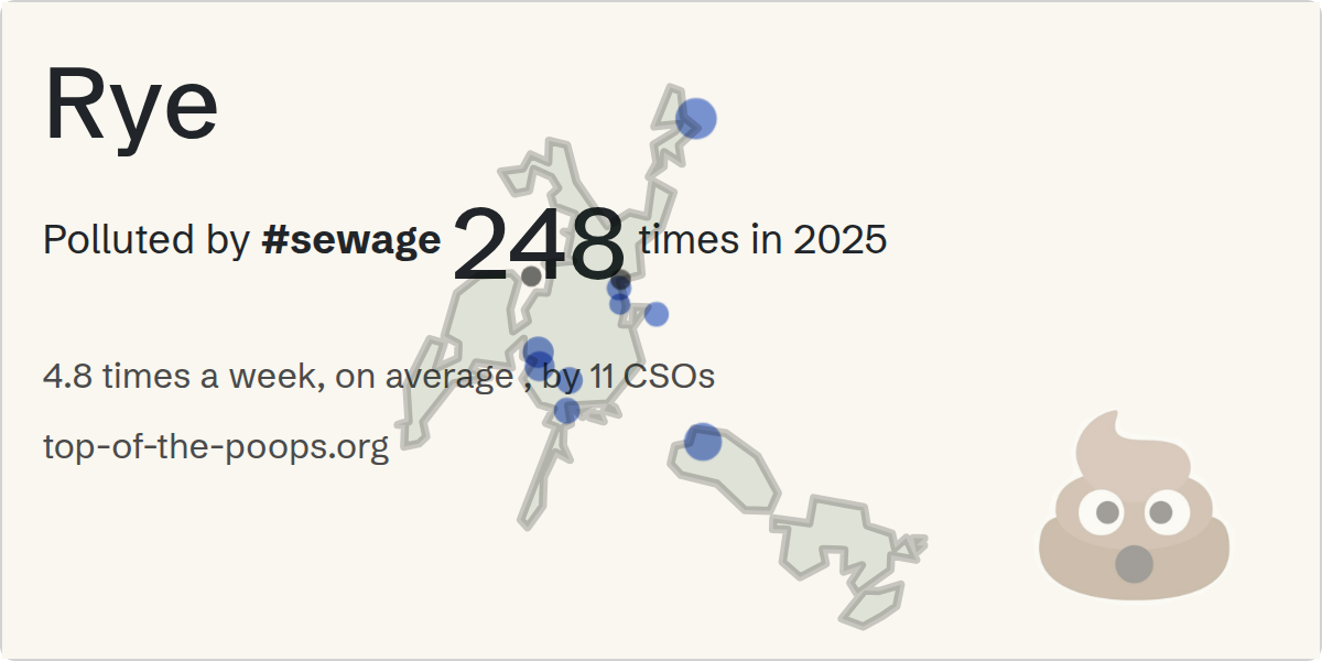 Sewage pollution map of Rye
