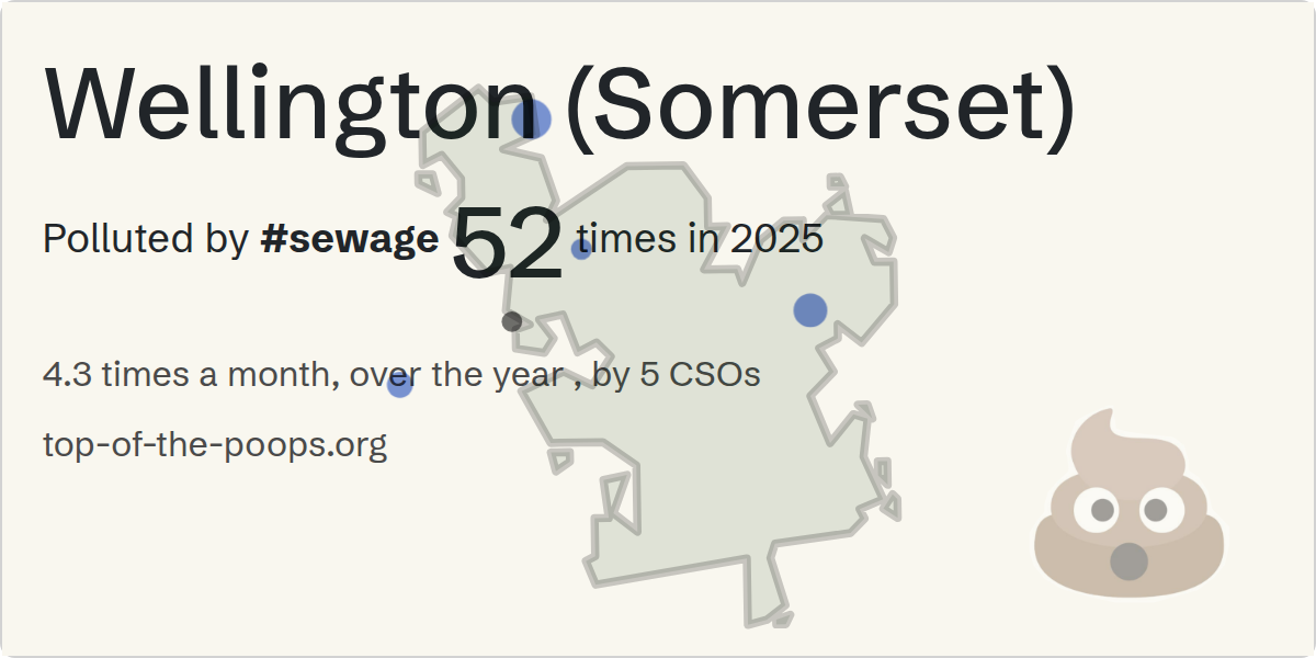 Sewage pollution map of Wellington (Somerset)
