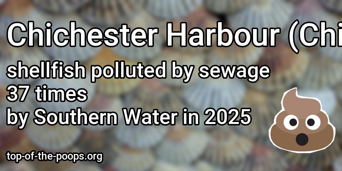 Sewage pollution at Chichester Harbour (Chichester Channel); Chichester Harbour (Emsworth Channel); Chichester Harbour (Thornham Channel); Langstone Harbour