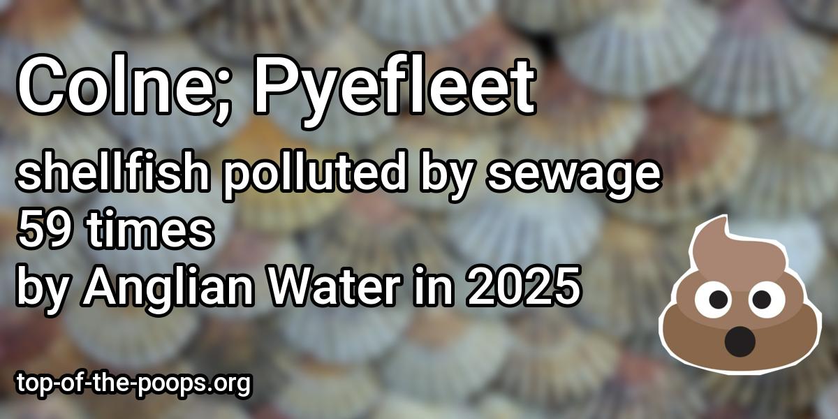 Sewage pollution at Colne; Pyefleet