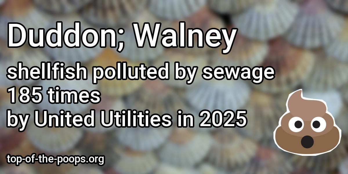 Sewage pollution at Duddon; Walney