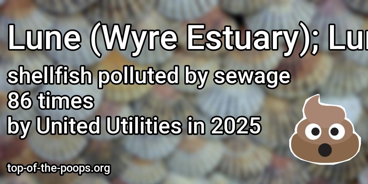 Sewage pollution at Lune (Wyre Estuary); Lune (Broadfleet and Plover Scar)