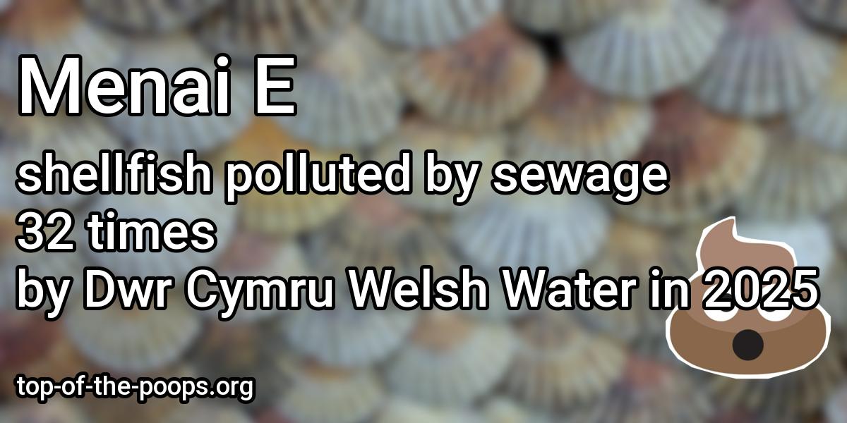 Sewage pollution at Menai E