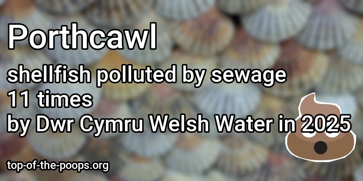 Sewage pollution at Porthcawl