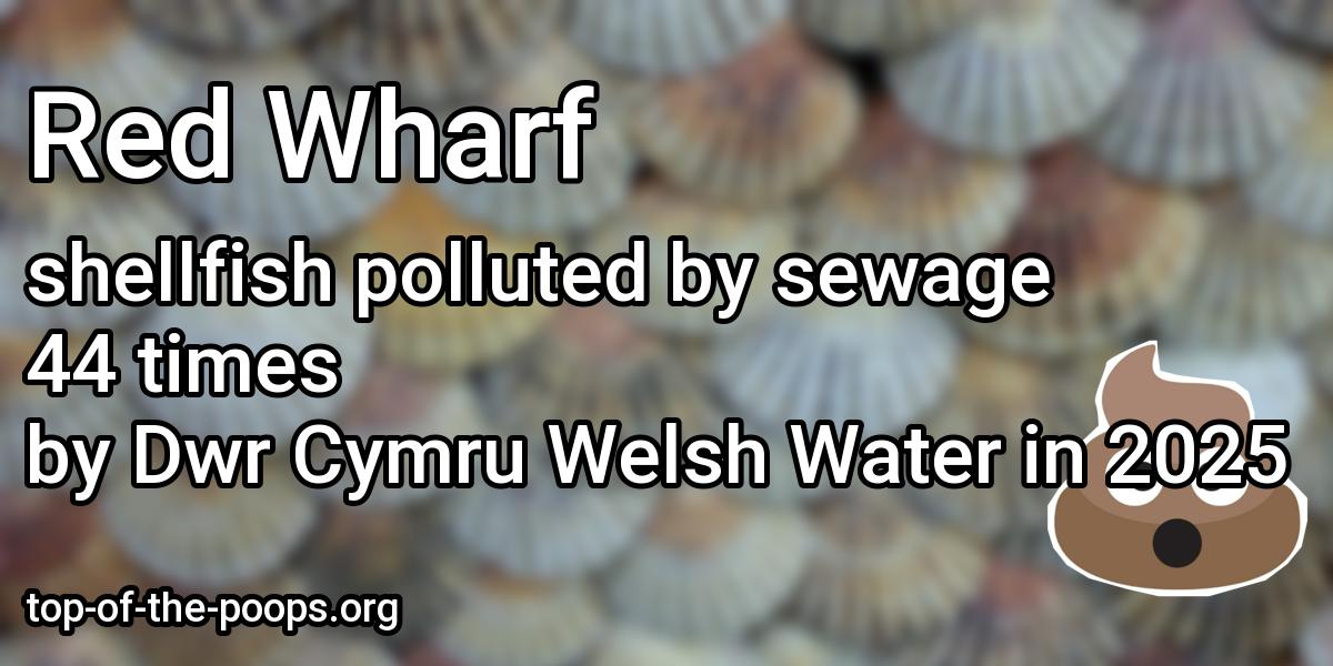 Sewage pollution at Red Wharf