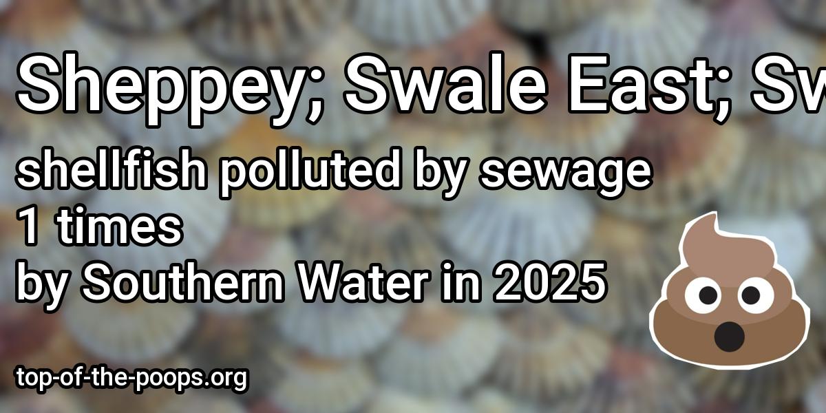 Sewage pollution at Sheppey; Swale East; Swalecliffe