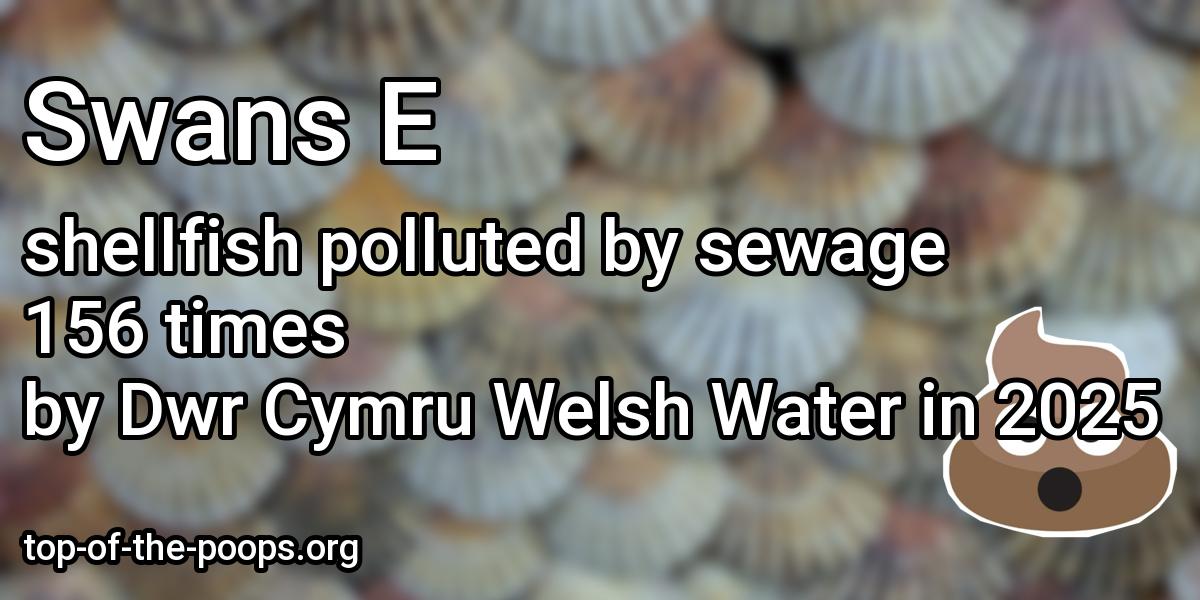 Sewage pollution at Swans E