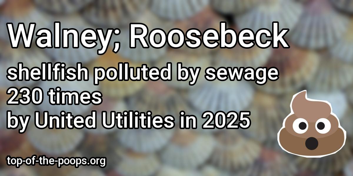 Sewage pollution at Walney; Roosebeck